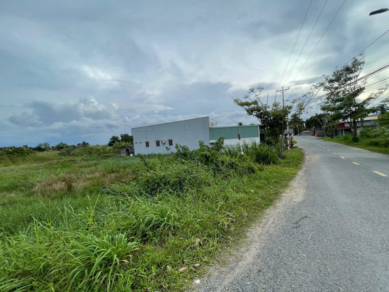 2100m2 đất lúa mặt tiền đường nhựa Rạch Tre xã An Thạnh, Bến Lức, Long An giá 13,7 tỷ 6