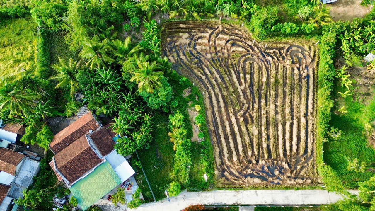 Cần bán Đất Phường Ninh Giang, Ninh Hòa, Diện tích 191m², Giá 490 Triệu