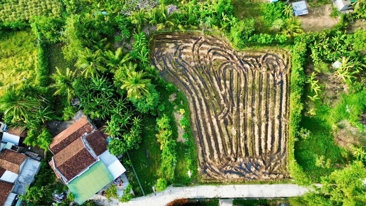 Cần bán Đất Phường Ninh Giang, Ninh Hòa, Diện tích 191m², Giá 490 Triệu 6