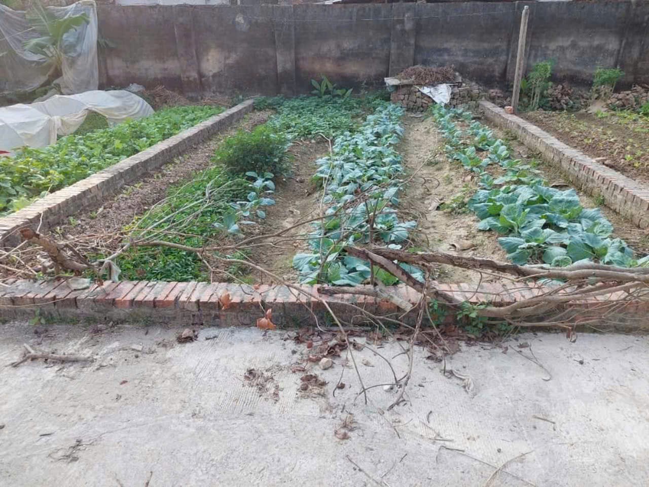Bán đất Tráng Việt - Mê Linh - HN. Full thổ cư, oto đỗ. Gần cầu Thượng Cát. Cơ hội đầu tư đẹp