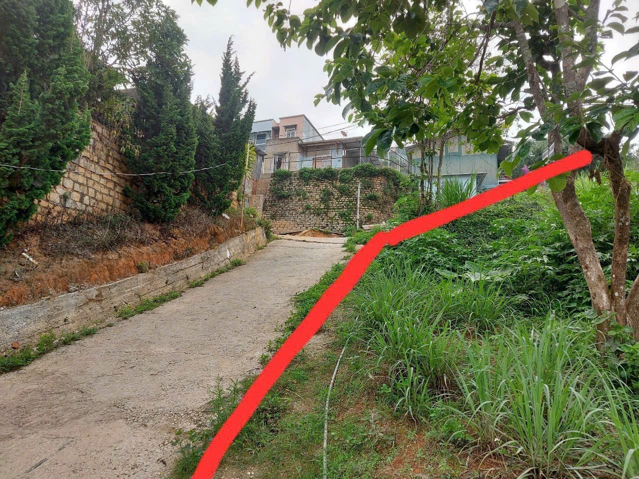 BÁN ĐẤT TẶNG NHÀ GỖ ĐƯỜNG HUYỀN TRÂN CÔNG CHÚA PHƯỜNG 4, ĐÀ LẠT 3