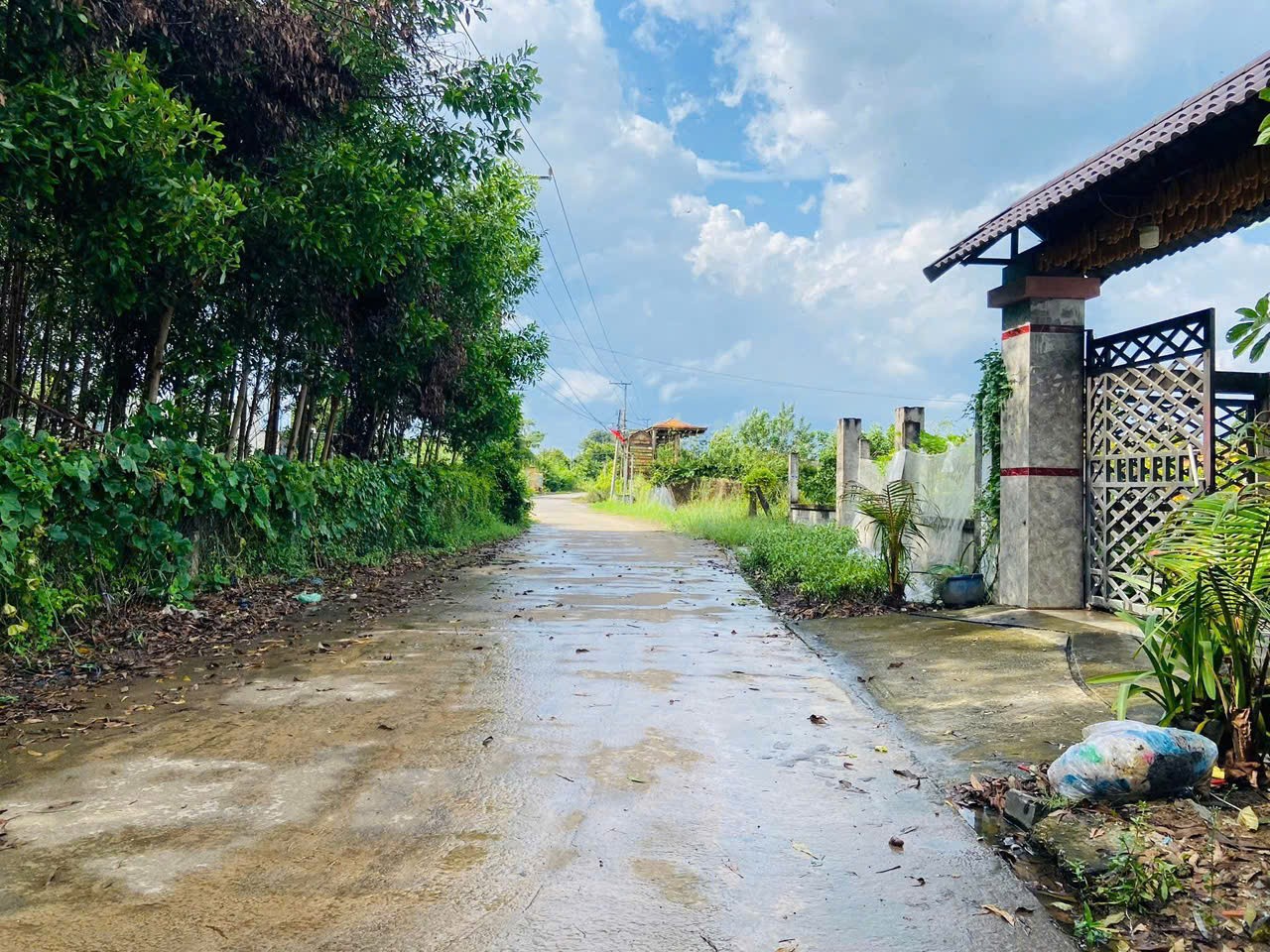 HÀNG NGỘP – THANH LÝ GẤP –  (Xã Hồ Tràm, TP.HCM) 4