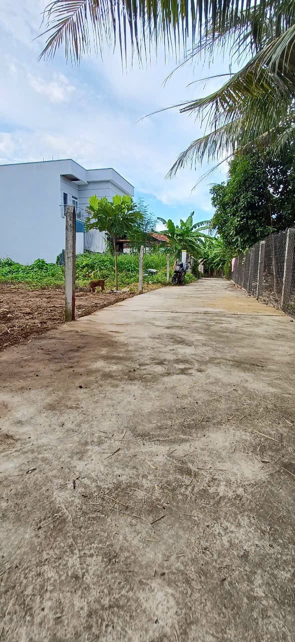 Cần bán Đất đường Quốc Lộ 1, Xã Diên An, Diện tích 109m², Giá 1,49 Tỷ