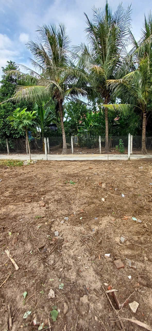 Cần bán Đất đường Quốc Lộ 1, Xã Diên An, Diện tích 109m², Giá 1,49 Tỷ 5