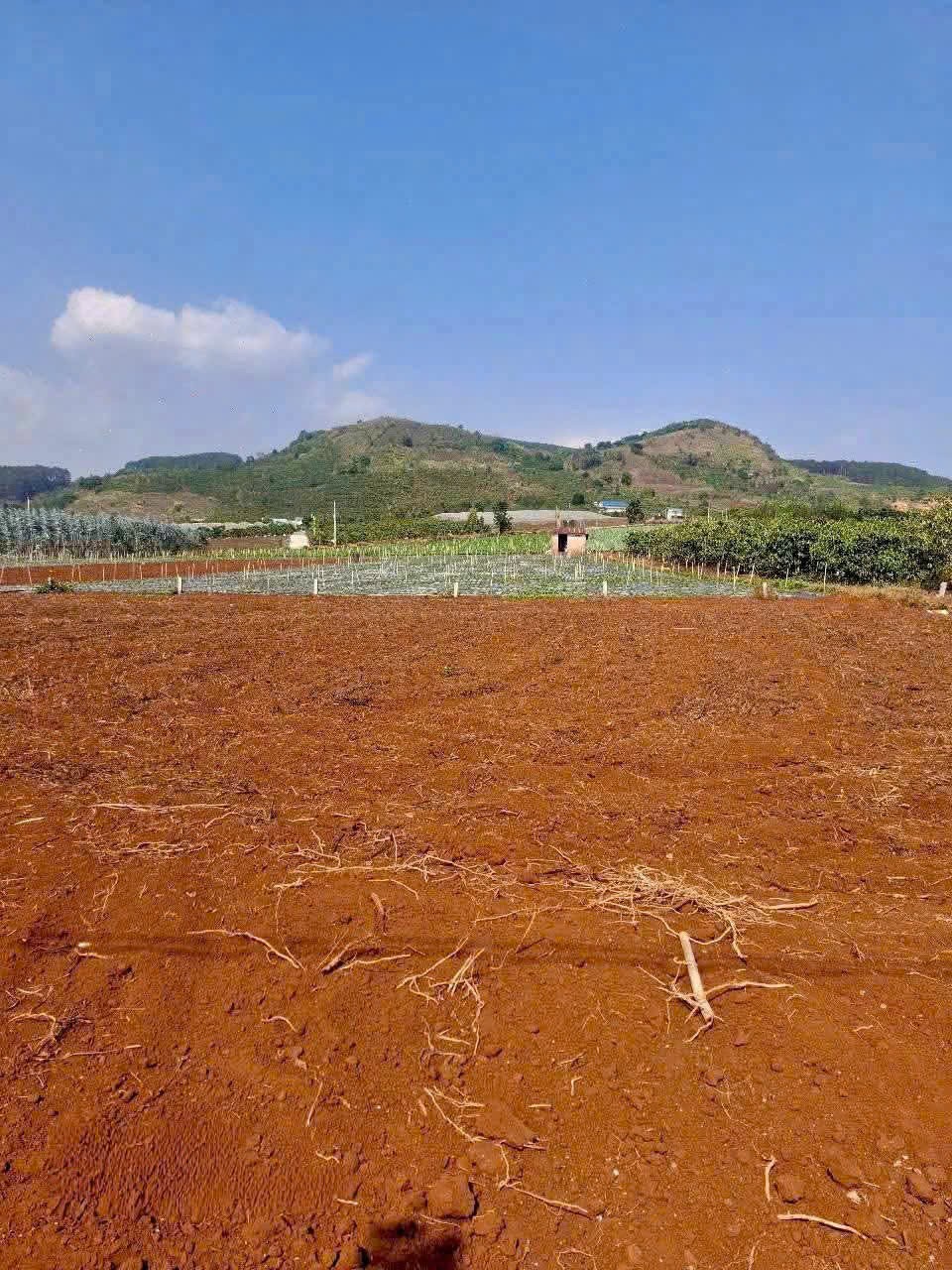 GIÁ 1 TỶ 080 TRIỆU - LÔ ĐẤT ĐẸP An Ninh, Xã Liên Hiệp, Đức Trọng, Lâm Đồng 3