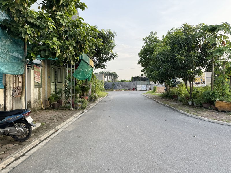 Bán 114m2 đất đấu giá A26 Làng Cam, Gia Lâm - Hai mặt đường trước sau, đường quy hoạch 30m 3