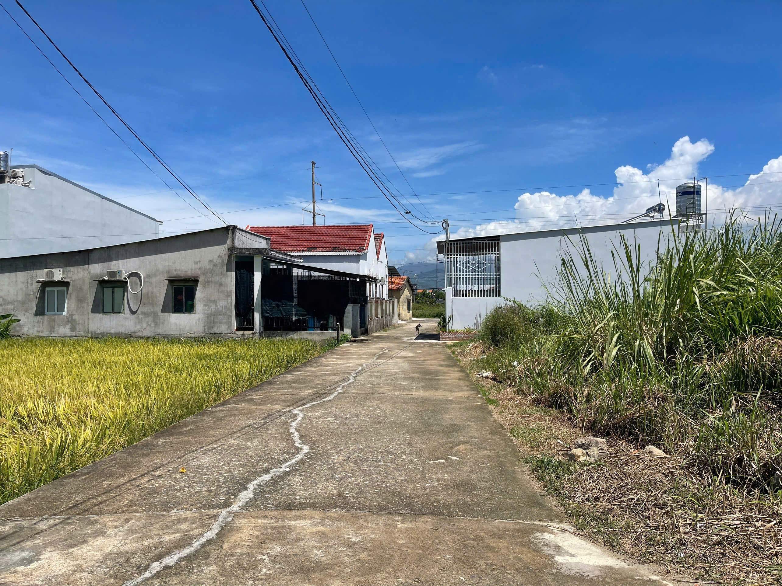 BÁN LÔ GÓC ĐẸP TẠI VÕ KIỆN, DIÊN AN CÁCH VÕ NGUYÊN GIÁP CHỈ 250m. 3