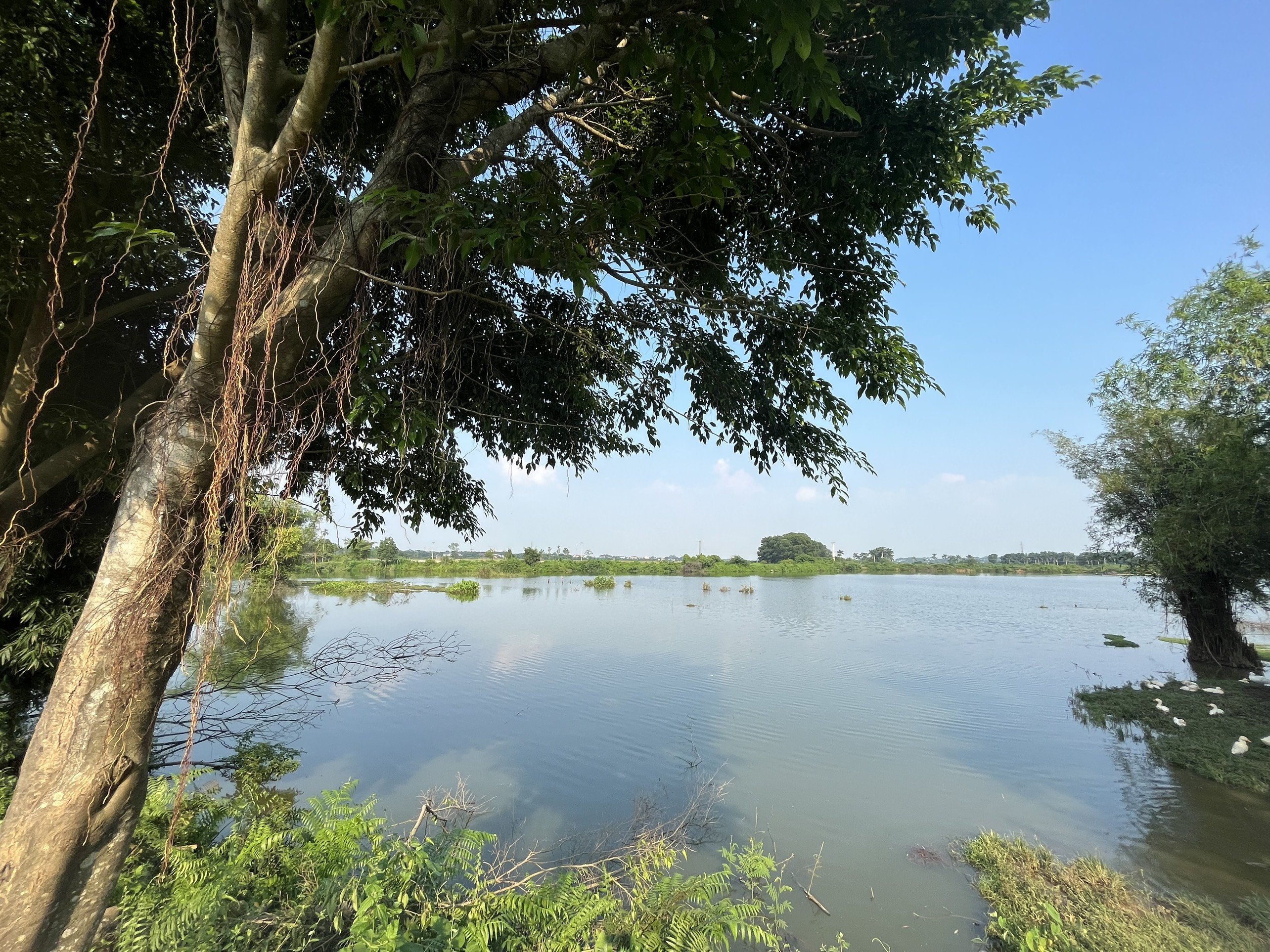 Đất Hòa Lạc view hồ 500m2, mặt tiền 13m tại Thôn 7, Phú Cát cực đẹp để ở hay đầu tư 1