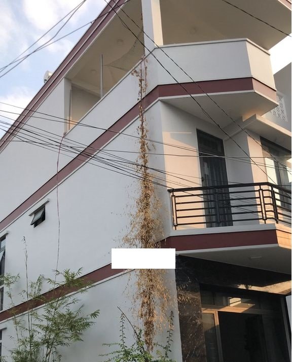 Cho thuê Nhà mặt tiền Thủ Đức, Hồ Chí Minh, Diện tích 75m², Giá 25 Triệu/tháng