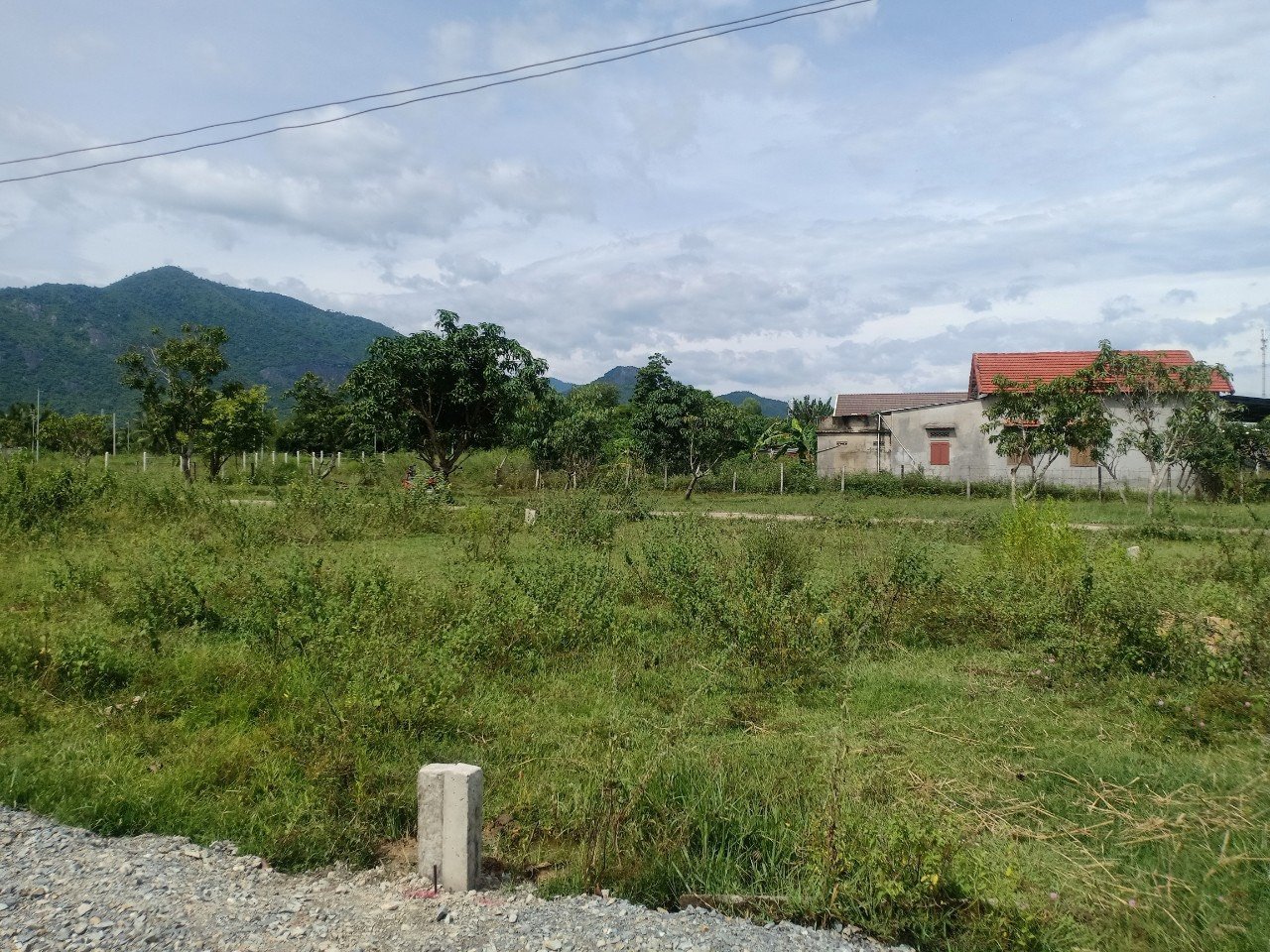 Cần bán Đất đường 39, Xã Bình Lộc, Diện tích 80m², Giá 600 Triệu 5