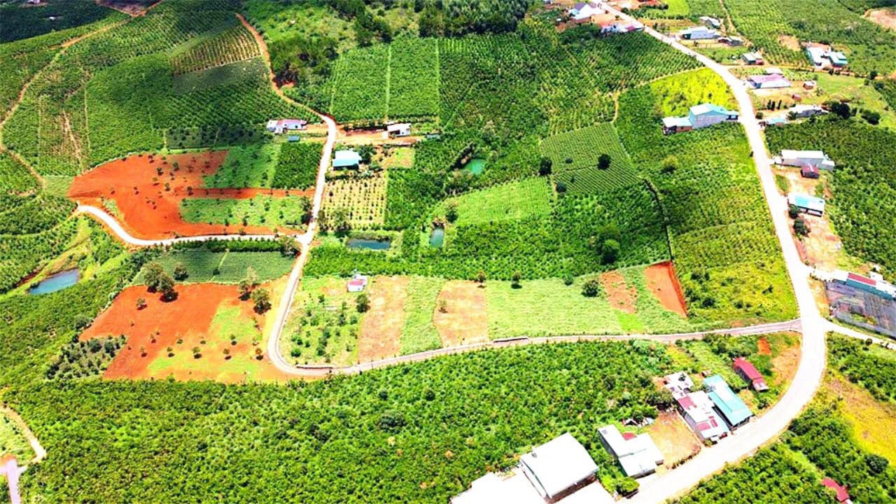 Cần bán Đất nền dự án Xã Lộc Ngãi, Bảo Lâm, Diện tích 986m², Giá 1.6 Triệu/m² 1