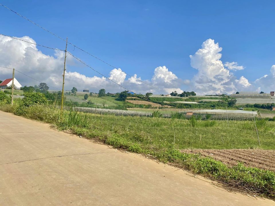Kẹt tiền muốn bán lô đất ngay KDC bên hông trường tiểu học Ka Đô 2, Đơn Dương giá 835tr