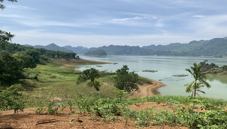 Cần bán Đất Xã Tiền Phong, Đà Bắc, Diện tích 8000m², Giá Thương lượng 3