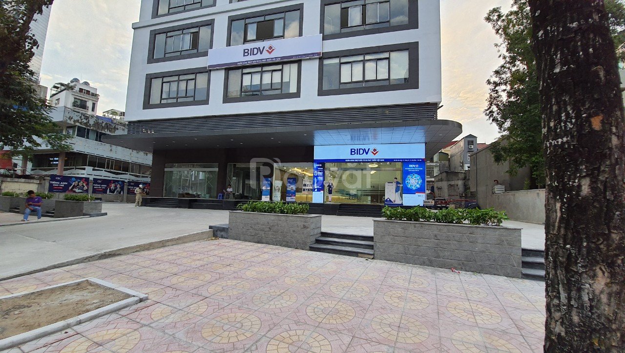 Cho thuê Văn phòng đường Liễu Giai, Phường Cống Vị, Diện tích 500m², Giá 330 Nghìn/m²/tháng 1