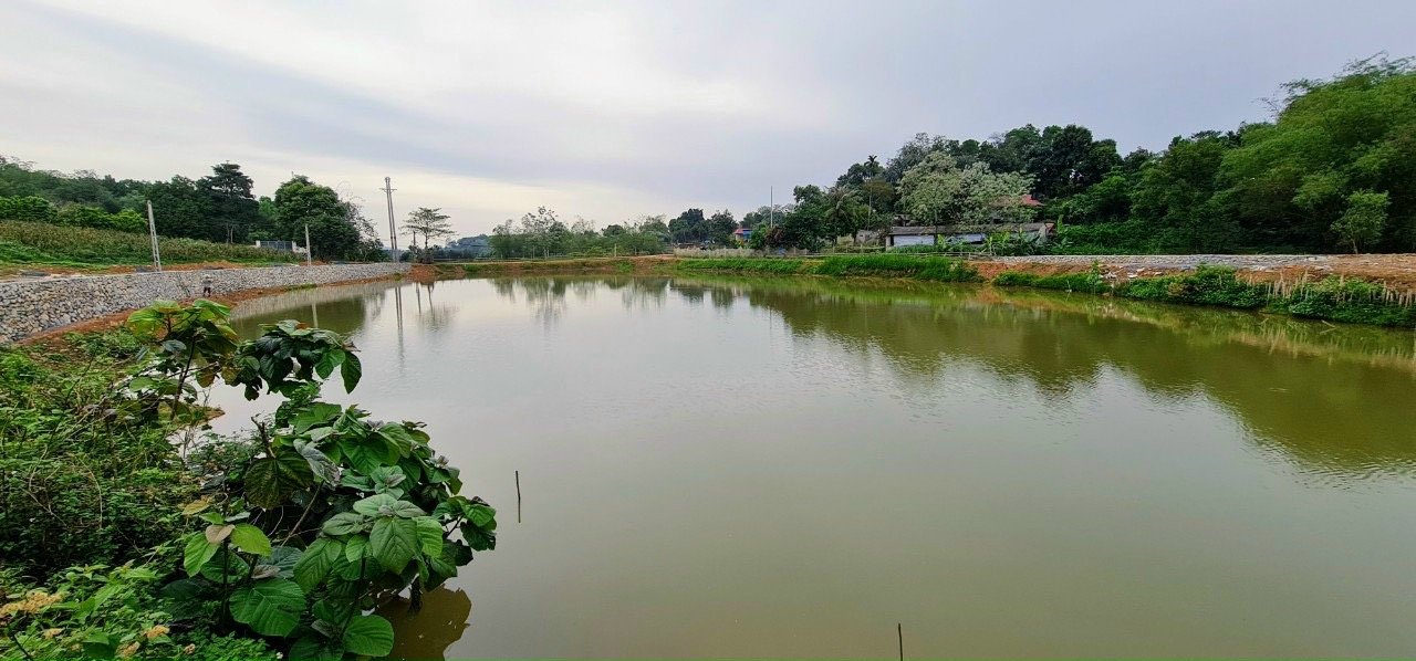 Bán Đất Bám Hồ Đồng Chanh, Lương Sơn 1250m2 Cực Phù Hợp Làm Homestay 3