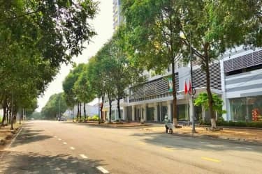 Cần bán Đất nền dự án đường Nguyễn Kim Quy, Xã Phú Hội, Diện tích 232m², Giá 32,5 Triệu/m² 1