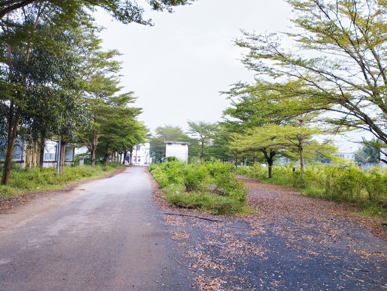 Cần bán đất nền lô góc diện tích 147.5m2 Dự án Thời Báo Kinh Tế, Phường Phú Hữu, quận 9, TPHCM 3