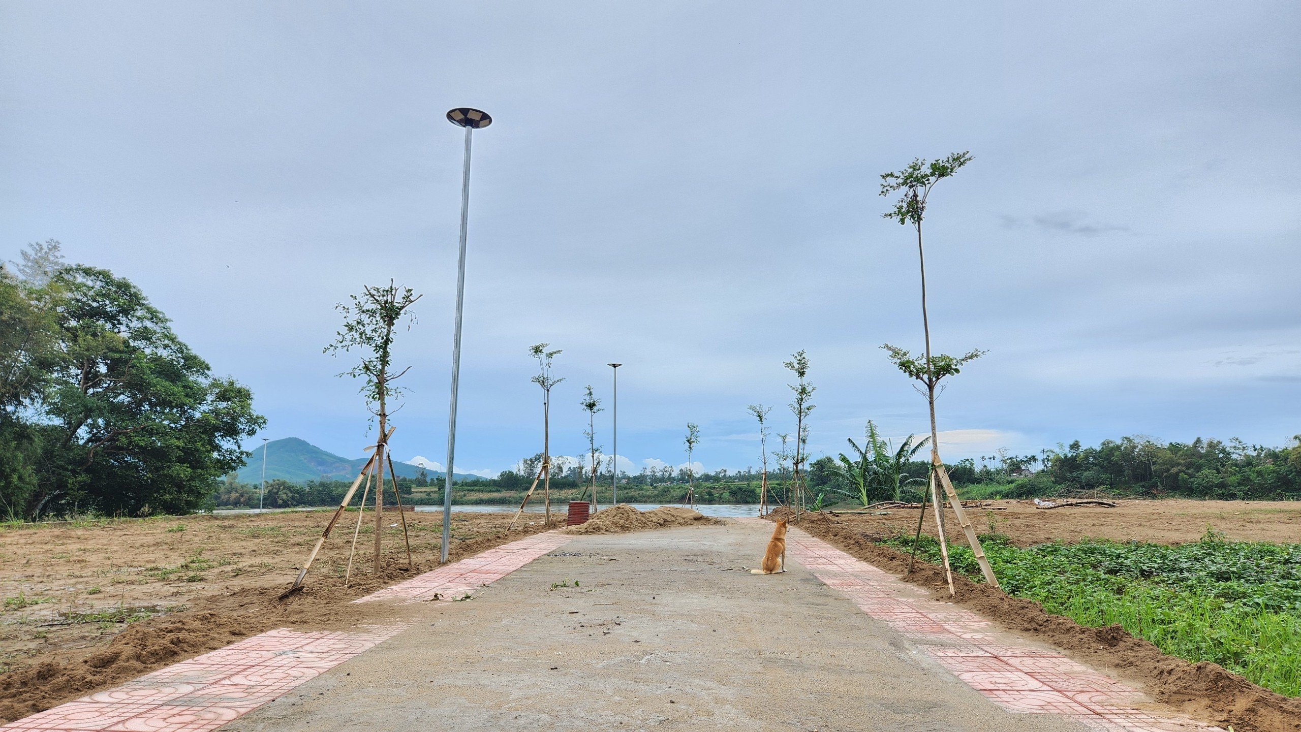 Cần bán Đất nền dự án đường Tỉnh lộ 623B, Xã Nghĩa Lâm, Diện tích 120m², Giá 280.000.000 Triệu