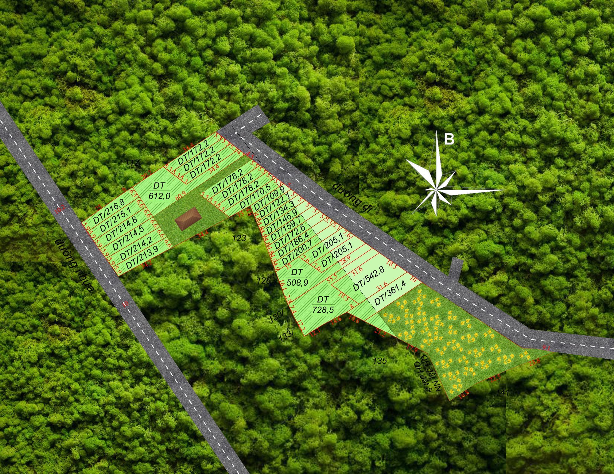 Cần bán Đất nền dự án đường Lý Thái Tổ, Xã Đam Bri, Diện tích 80m², Giá 610 Triệu 3