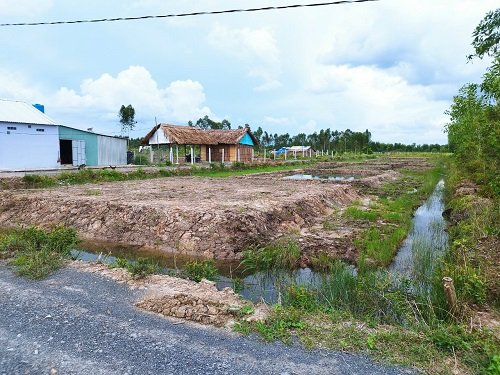 Bán đất vườn gần Suntec City Thủ Thừa Long An 2.000m2 2 mặt tiền đường đá xanh 2
