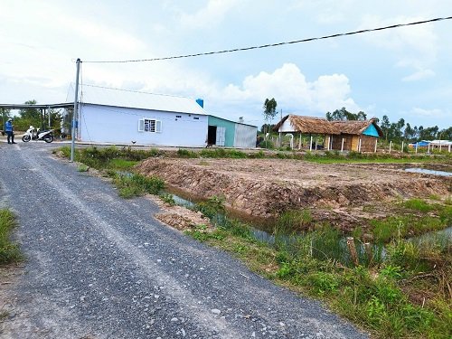 Bán đất vườn gần Suntec City Thủ Thừa Long An 2.000m2 2 mặt tiền đường đá xanh 5
