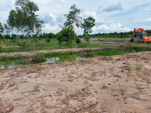 Bán đất vườn 1.001m2 gần Suntec City Novaland Thủ Thừa Long An 3