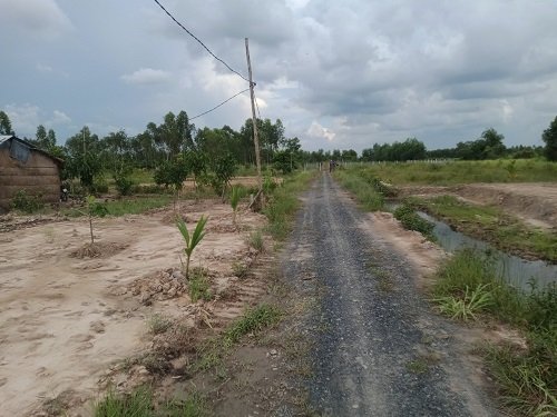 Bán đất vườn 1.001m2 gần Suntec City Novaland Thủ Thừa Long An 4