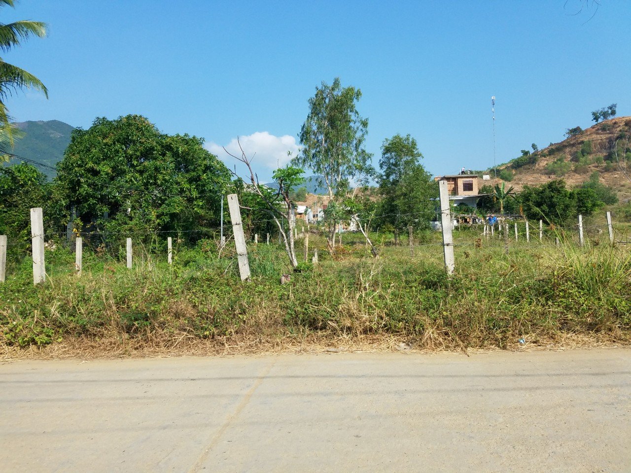 Bán đất thổ cư giá rẻ 360m2 gần nhà văn hóa thôn Đắc Lộc, Vĩnh Phương, Nha Trang 3