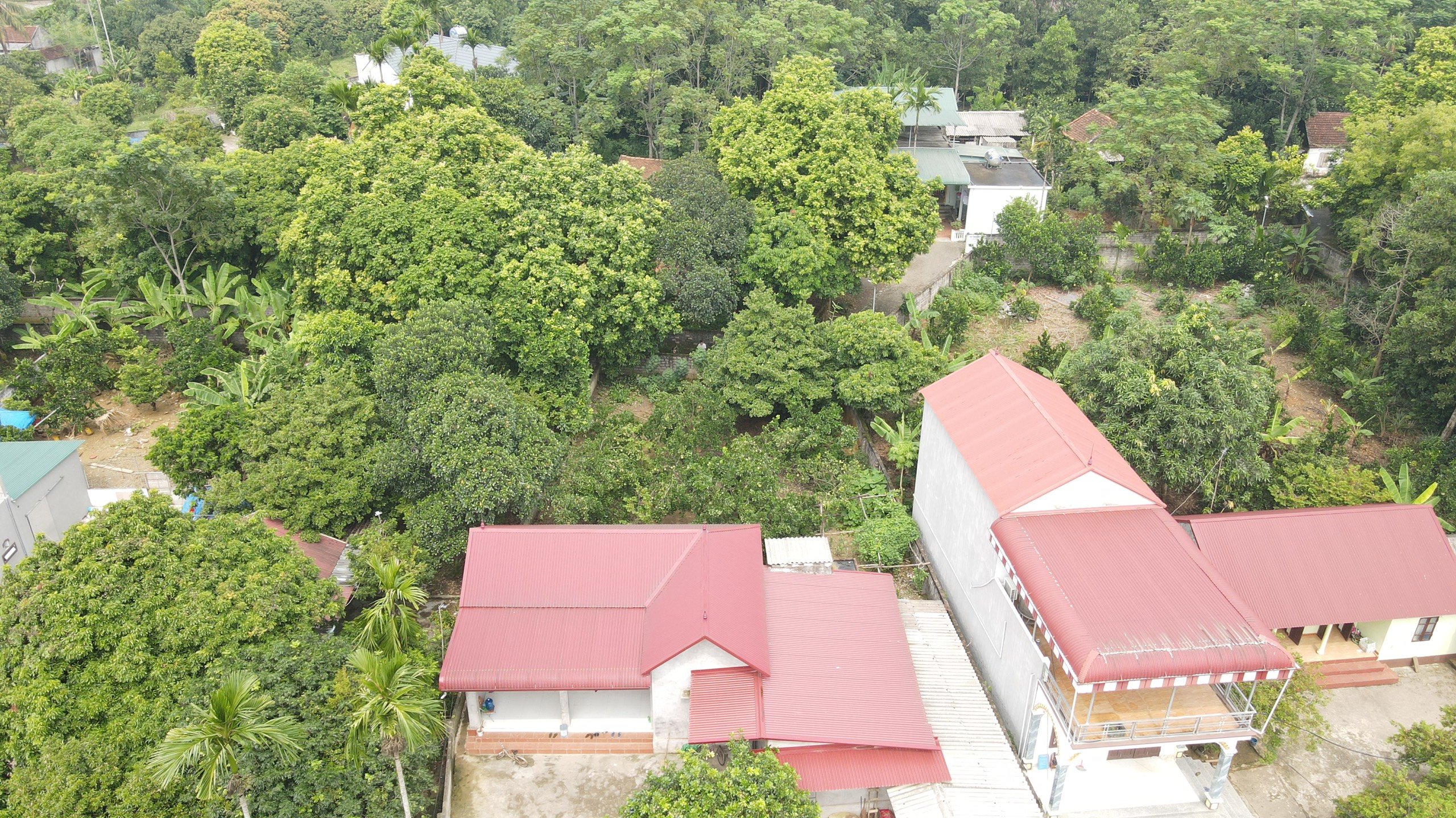 Cần bán Đất Xã Nhuận Trạch, Lương Sơn, Diện tích 280m², Giá 4 Triệu/m² 2
