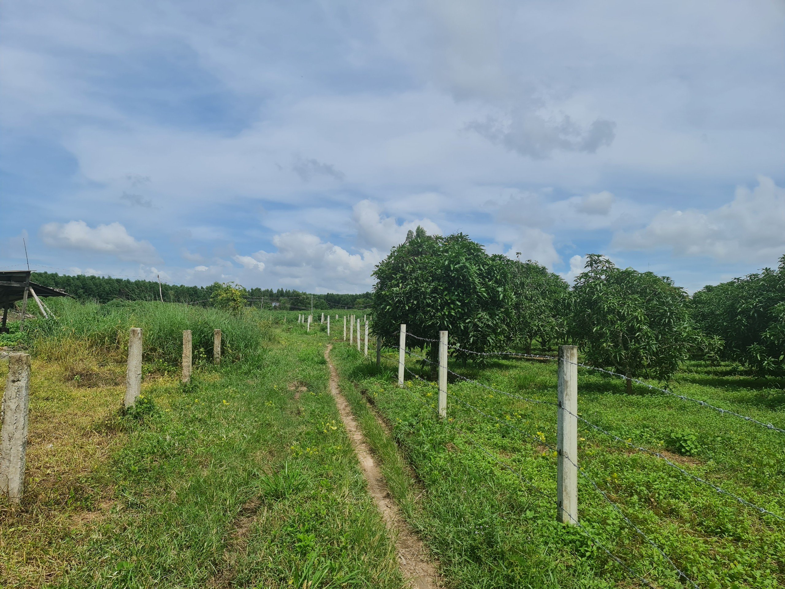 6,5 xào phủ hồng, 2MT đường với 201m MT, gần TT Thị Xã LaGi. giá 1 triệu/1m2. view Sông Dinh 2