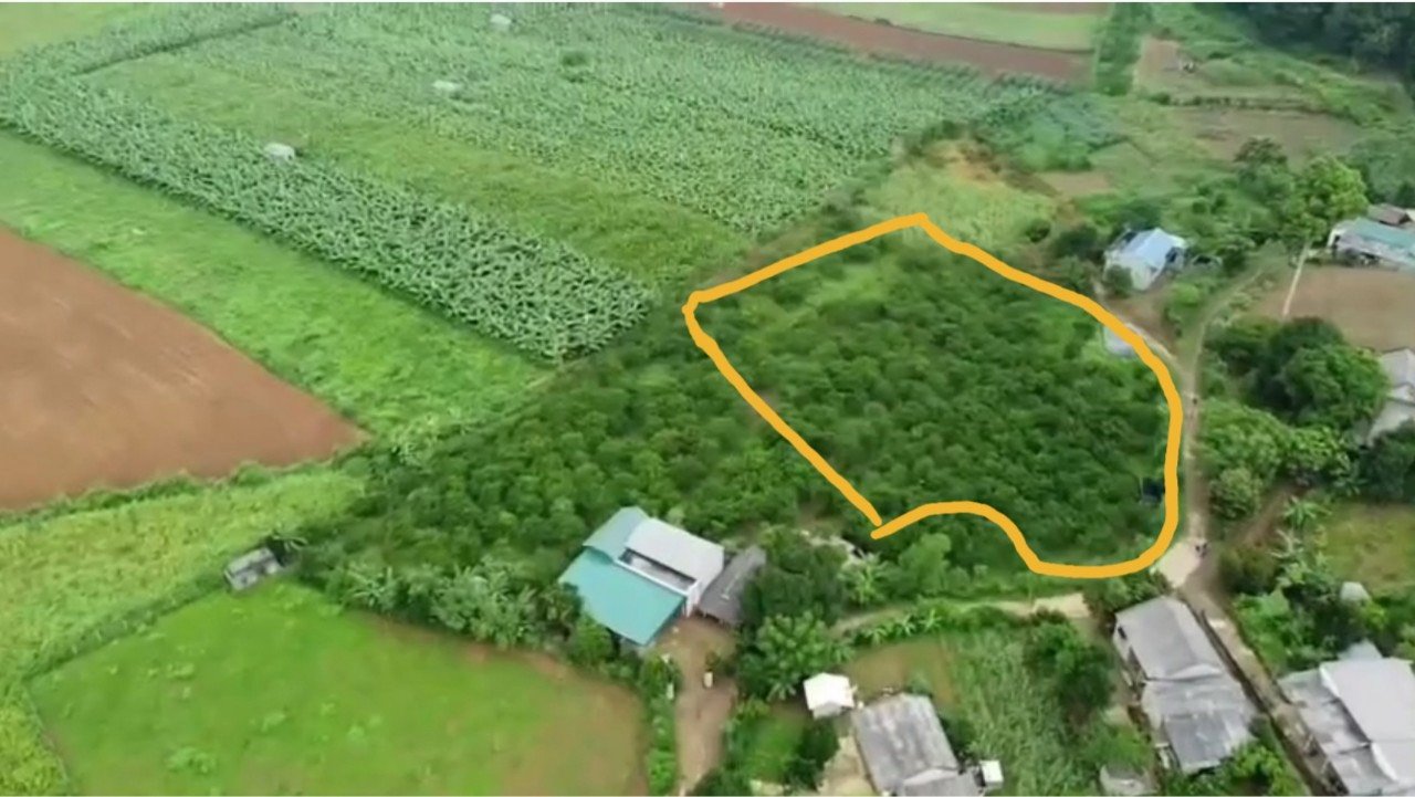 Cần bán Đất đường Quốc Lộ  6, Xã Thu Phong, Diện tích 2000m², Giá 2000 Triệu
