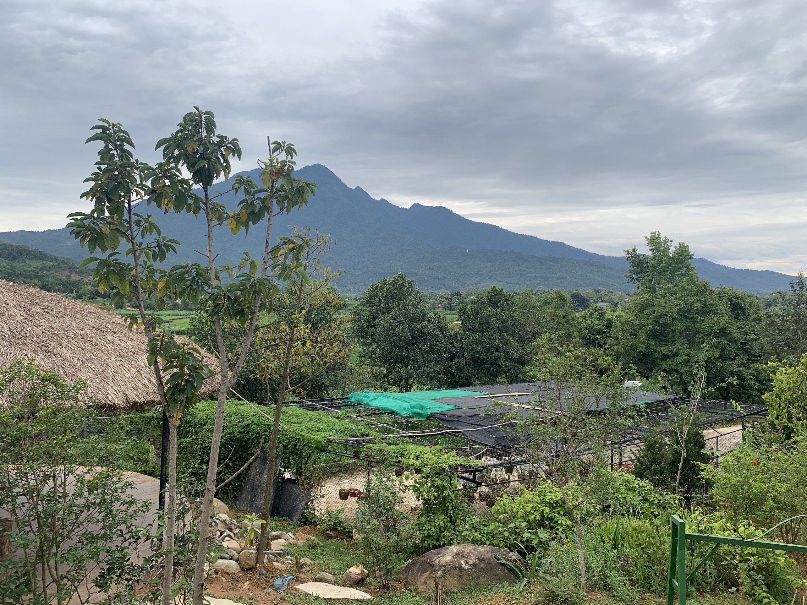 Bán Đất Yên Bài, Ba Vì Homestay 5000m2 View Núi Tản Cực Chill 5