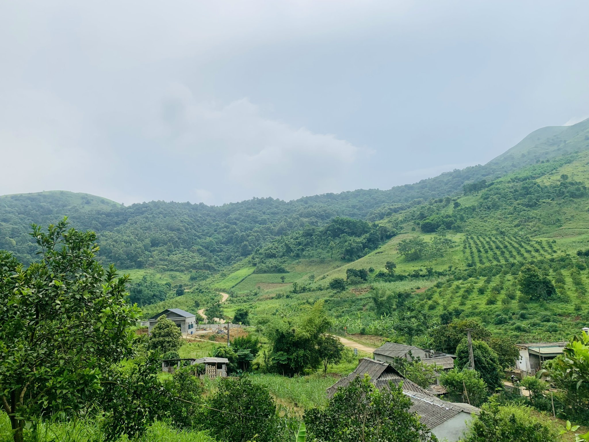 Cần bán Đất Xã Xuân Phong, Cao Phong, Diện tích 22000m², Giá 4.2 Tỷ (2.2ha) 3