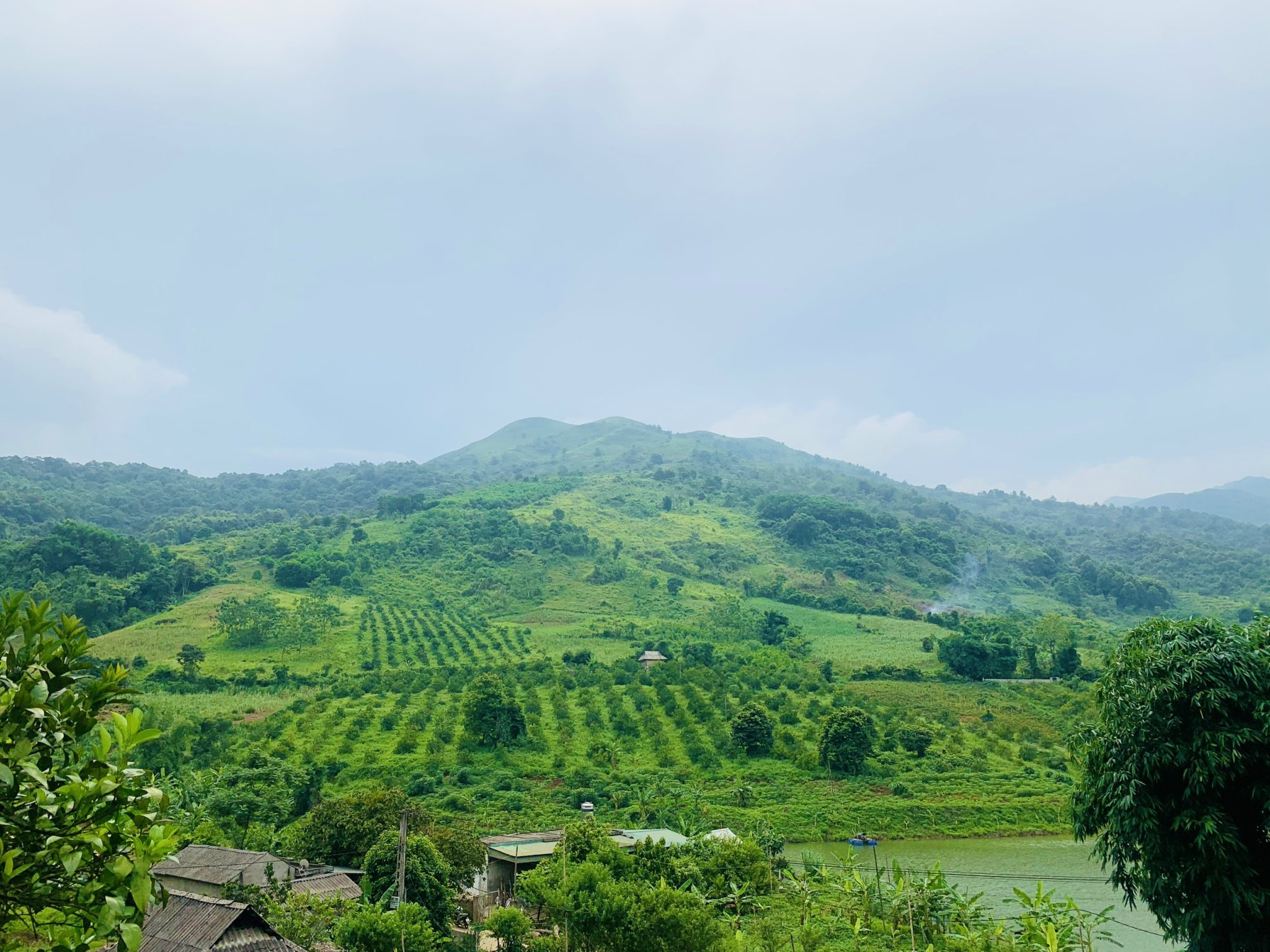 Cần bán Đất Xã Xuân Phong, Cao Phong, Diện tích 22000m², Giá 4.2 Tỷ (2.2ha) 4