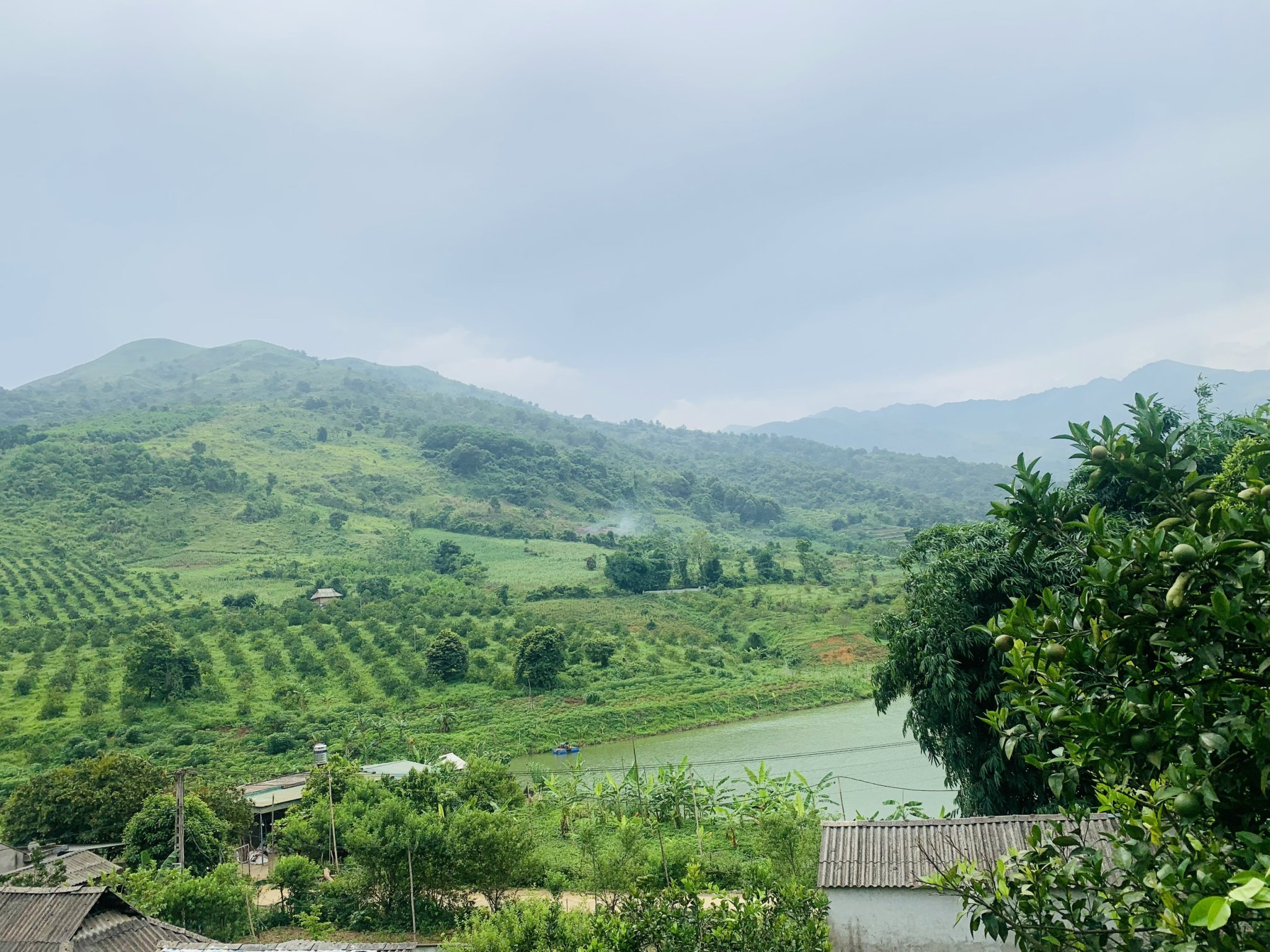 Cần bán Đất Xã Xuân Phong, Cao Phong, Diện tích 22000m², Giá 4.2 Tỷ (2.2ha) 5