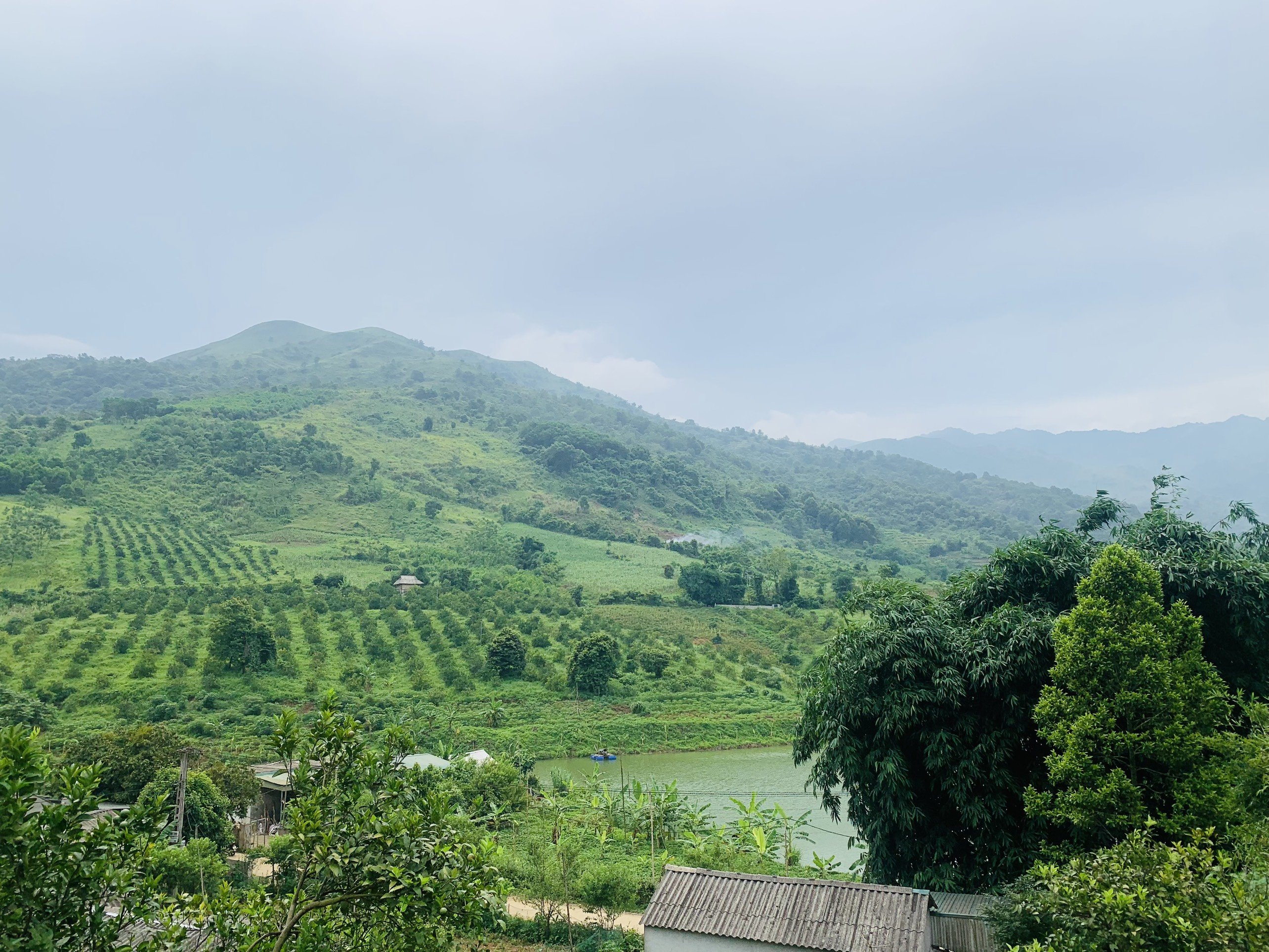 Cần bán Đất Xã Xuân Phong, Cao Phong, Diện tích 22000m², Giá 4.2 Tỷ (2.2ha) 8