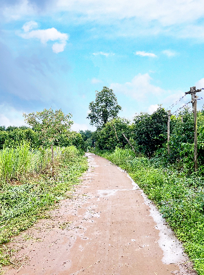 Bán nhanh lô đất siêu rẻ! 1078.8m2 chỉ 4.9 tỷ tại Xóm Chằng Trong, Xã Hợp Phong, Cao Phong, Hòa Bình