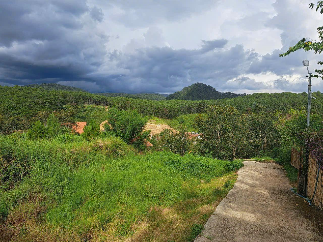 Bán lô đất view rừng thông tại Xuân Thọ Đà Lạt 970m2 2