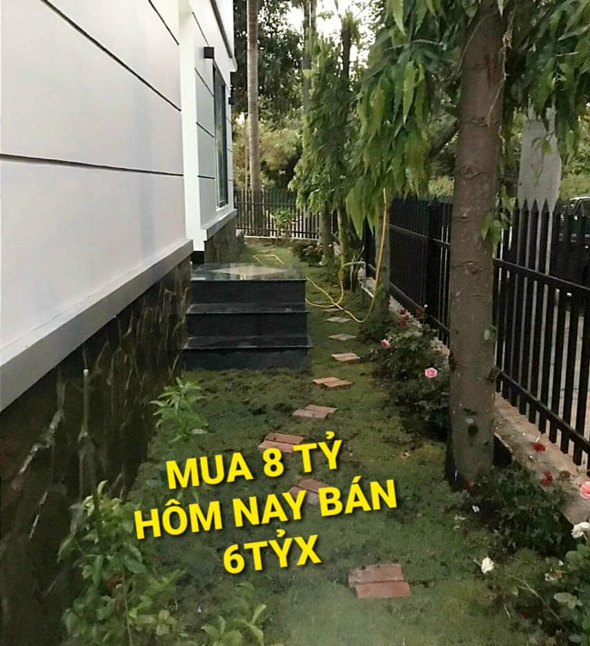 Mua 8 tỷ Bán 6 tỷ x - Biệt Thự KDC Tuyết Anh Bình Mỹ Củ Chi TpHCM 4