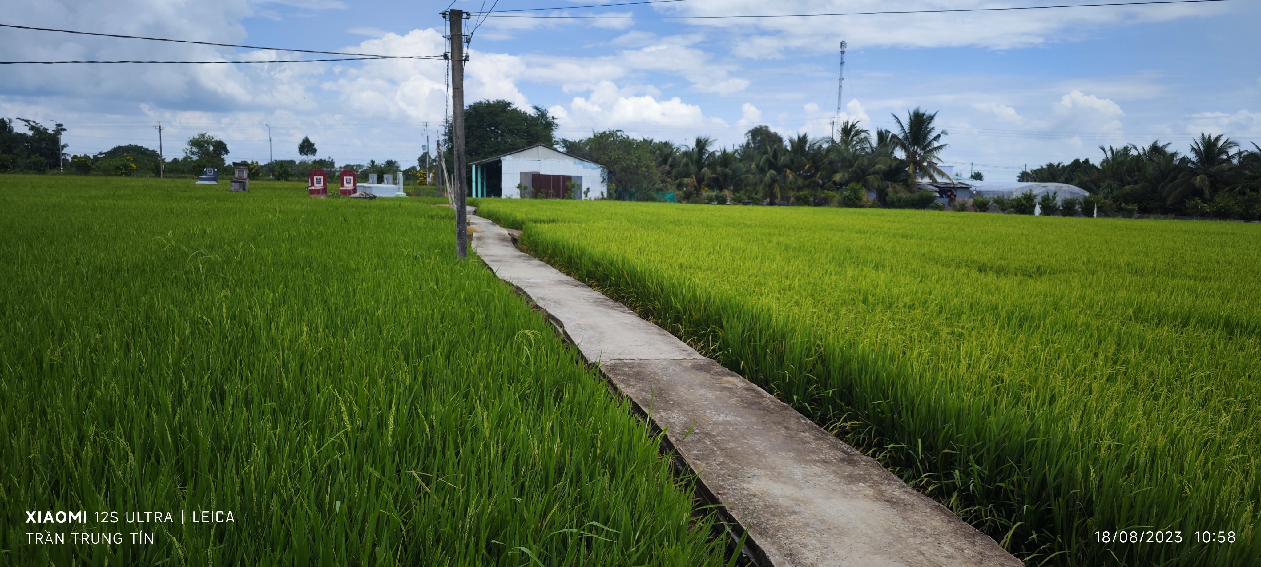 Bán gấp lô đất lúa xã Nhựt Ninh giá 1,2 tỷ 2