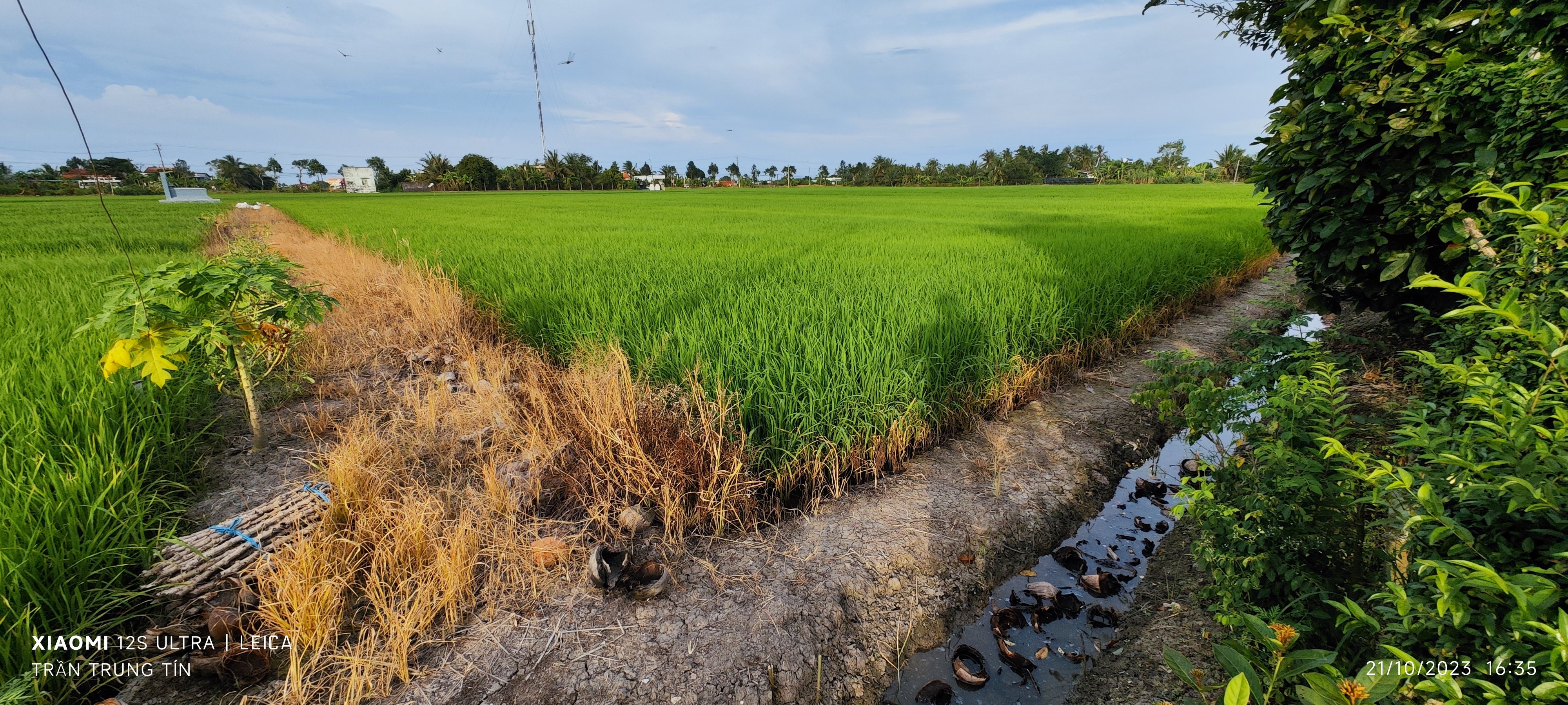 Bán lô đất lúa chuyển thổ đường Nguyễn Văn Châu nhựa 5m giá 3,3 tỷ 5