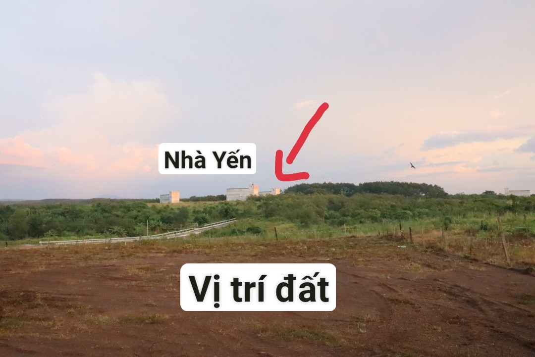 Bán Đất giá rẻ sổ sẵn ngay mặt tiền đường nhựa 3