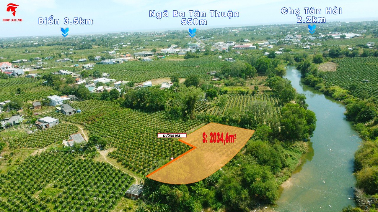 Cần bán Đất đường ĐT 719, Xã Tân Thuận, Diện tích 2034m², Giá 1.6 Tỷ 2