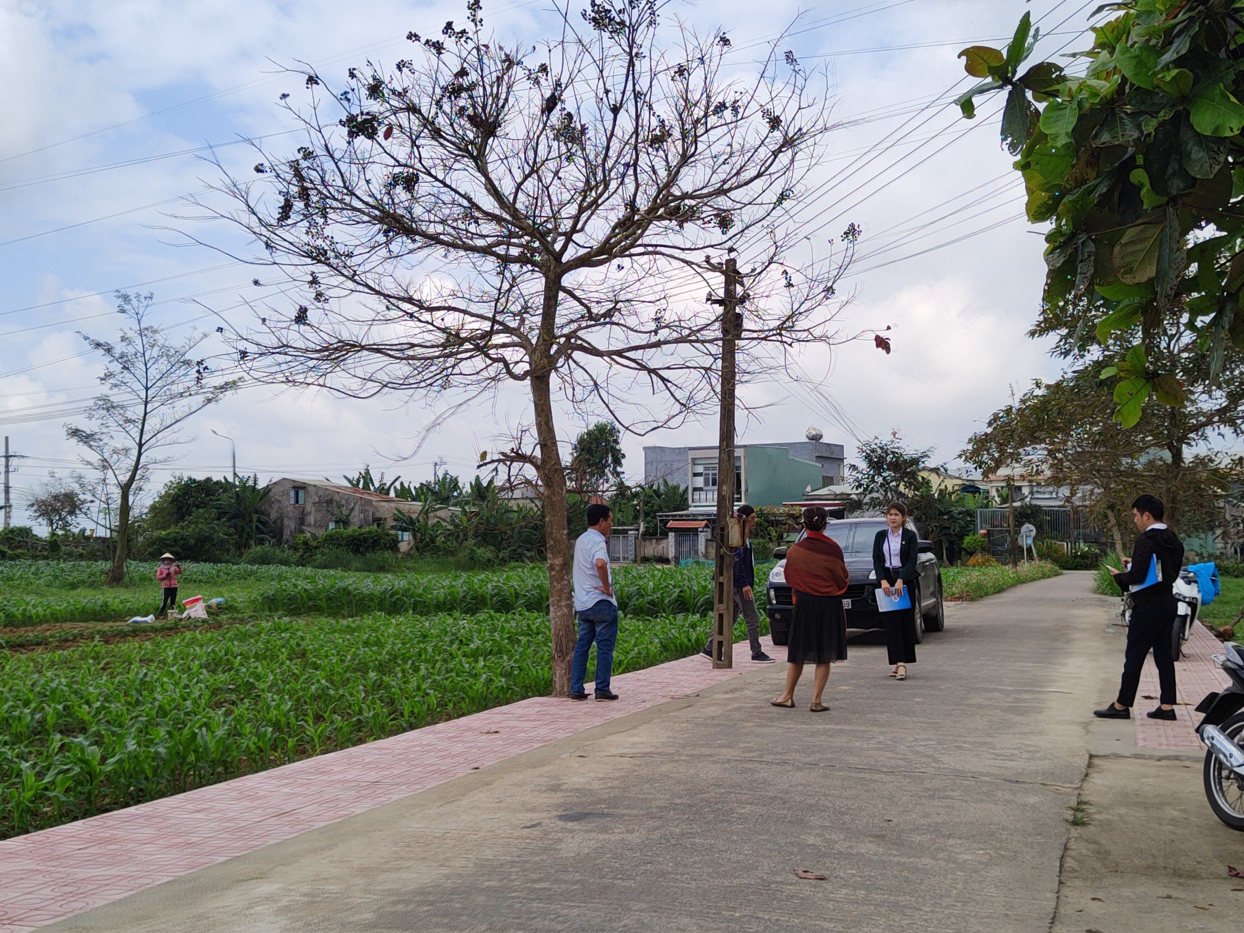 Bán đất 128m2 hướng bắc, gần Đà Nẵng, cạnh bên trường học, UBND, trạm y tế LH 0918852552 7