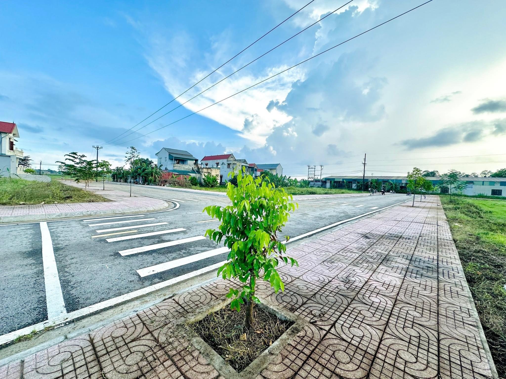 Cần bán Đất đường Quốc lộ 1A, Thị trấn Quảng Xương, Diện tích 320m², Giá  Triệu/m² 4