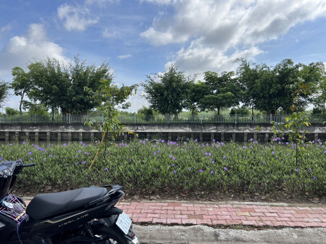 Bán đất khu dân cư Vĩnh Phú 1, view sông, kế bên căn hộ Marina, tiện ích đầy đủ 3