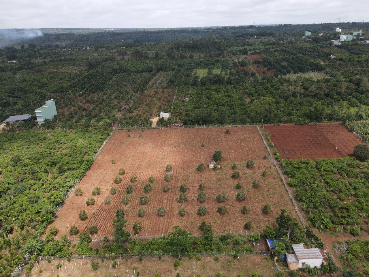 Cần bán Đất Buôn Hồ, Đắk Lắk, Diện tích 10000m², Giá Thương lượng 2