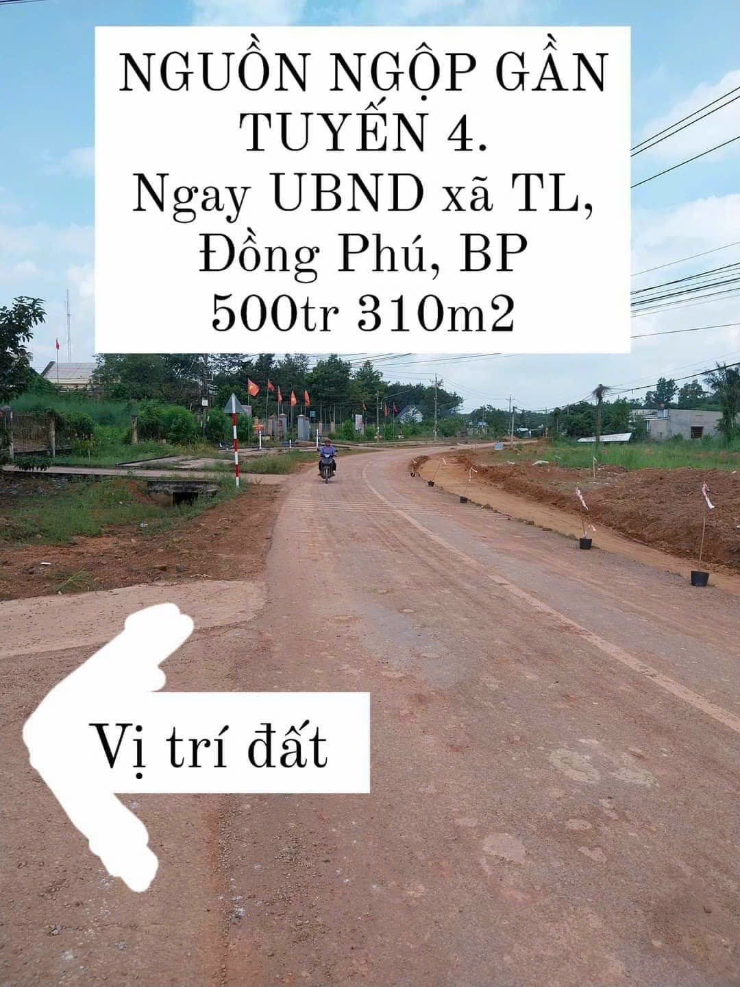 Đất gần UBND xã tân lợi đồng phú Bình Phước 6,2 x 50 m tc 100m giá ngộp rồi 500 triệu 1