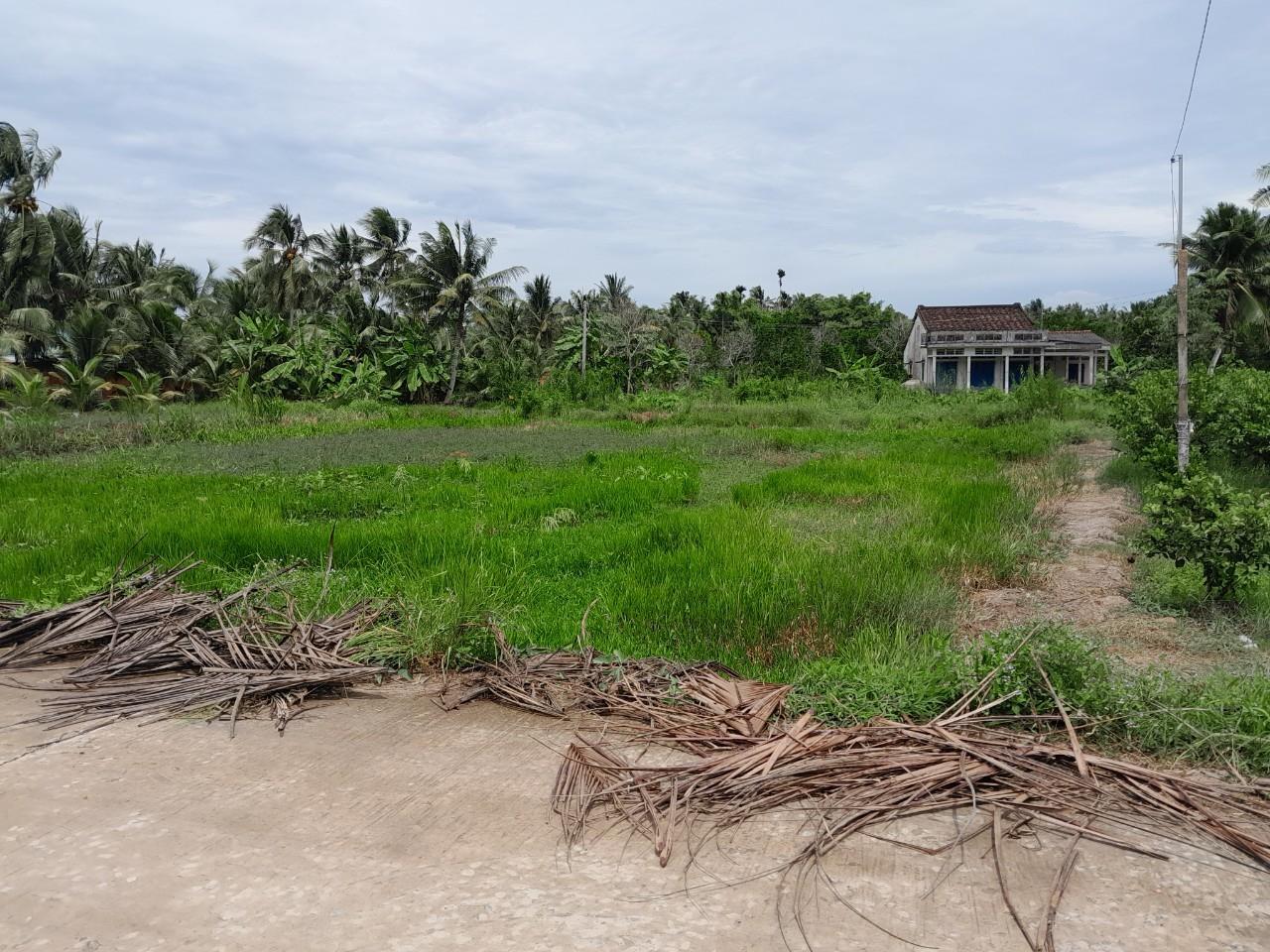 Cần Bán Nhanh Lô Đất Tiềm năng- Giá Tốt tại huyện Tam Bình, tỉnh Vĩnh Long 2