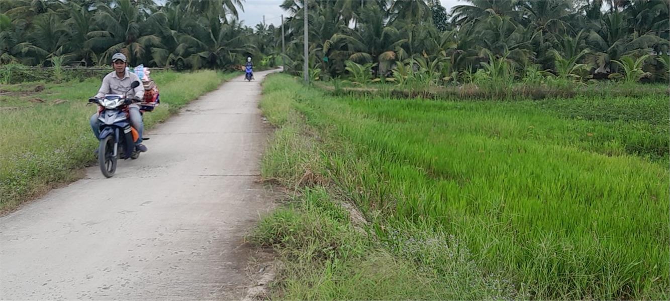 Cần Bán Nhanh Lô Đất Tiềm năng- Giá Tốt tại huyện Tam Bình, tỉnh Vĩnh Long 5